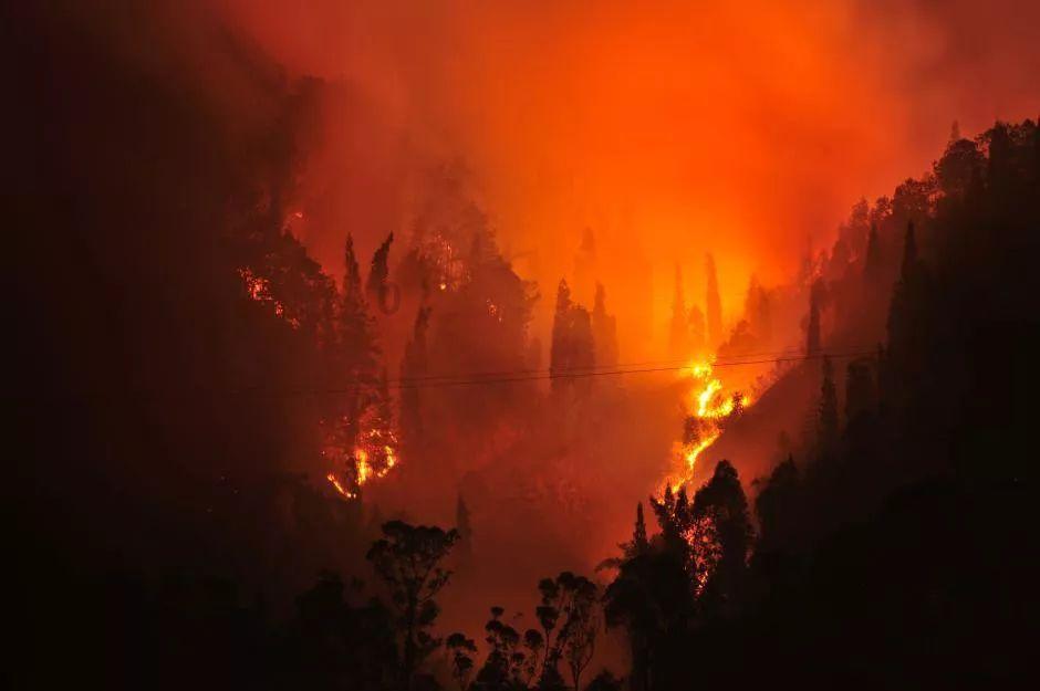 古代“斗地主”：嫡子管庶子、儿子管女儿，嫡女和庶子谁地位高？